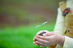 생애주기
강점관점